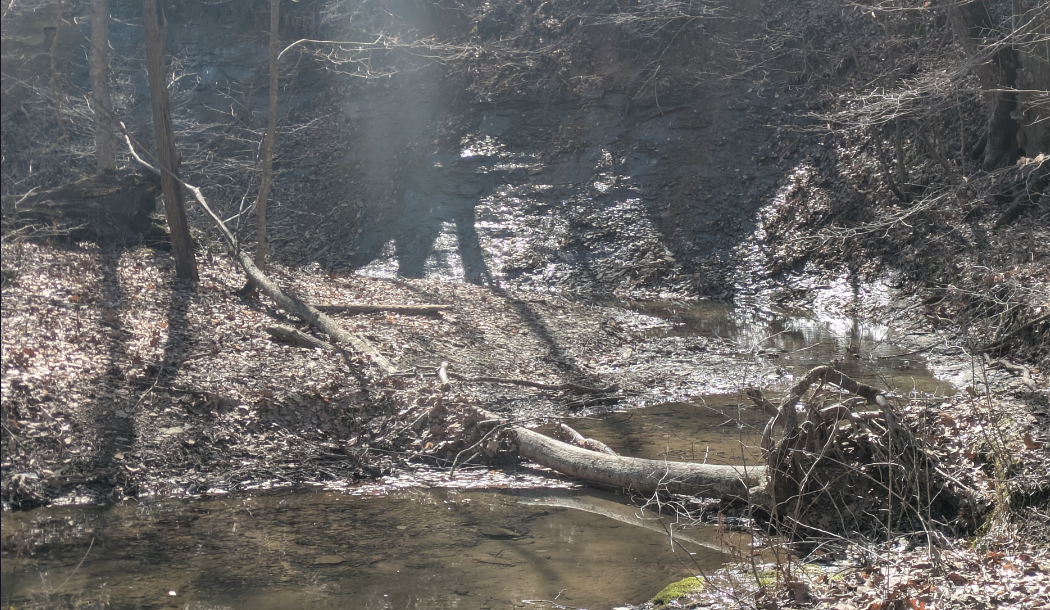 A landscape with a brook in the foreground being partially fed by water coming out of a karst rock cliff